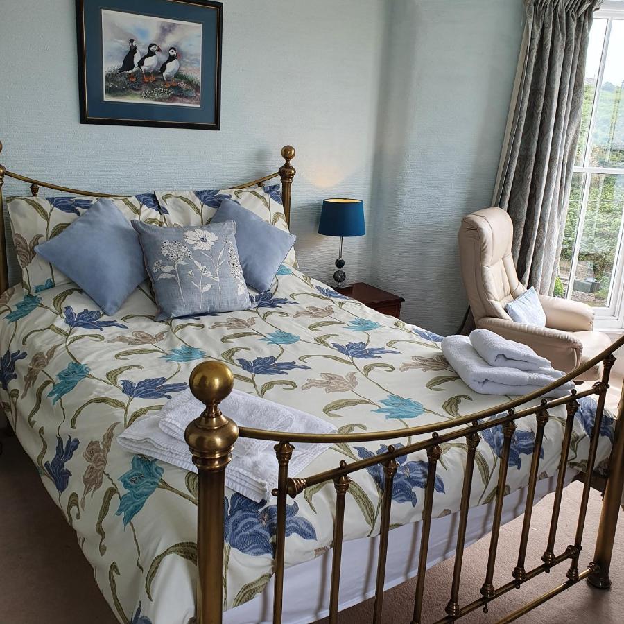 Pendyffryn Manor Bed & Breakfast Little Haven Esterno foto