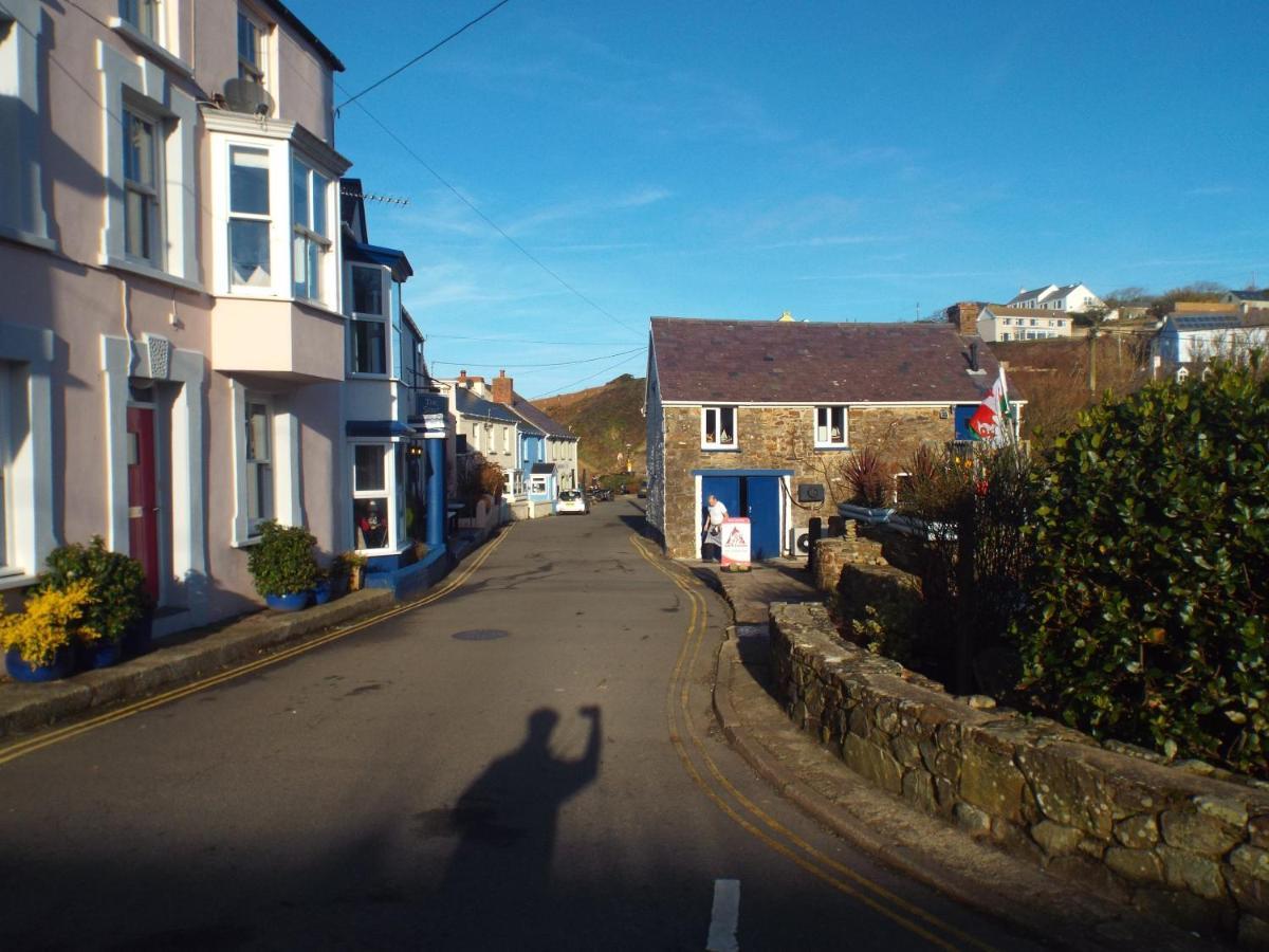 Pendyffryn Manor Bed & Breakfast Little Haven Esterno foto